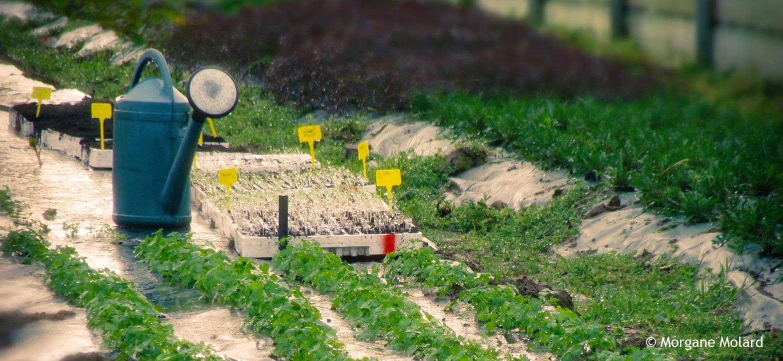 Formation paysan créatif