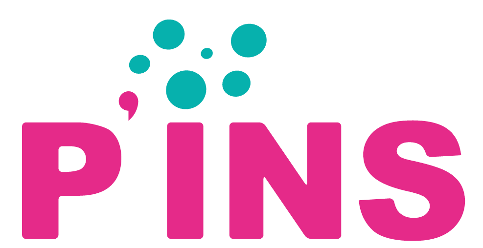 Appel à projet sur les innovations sociales (P’INS)