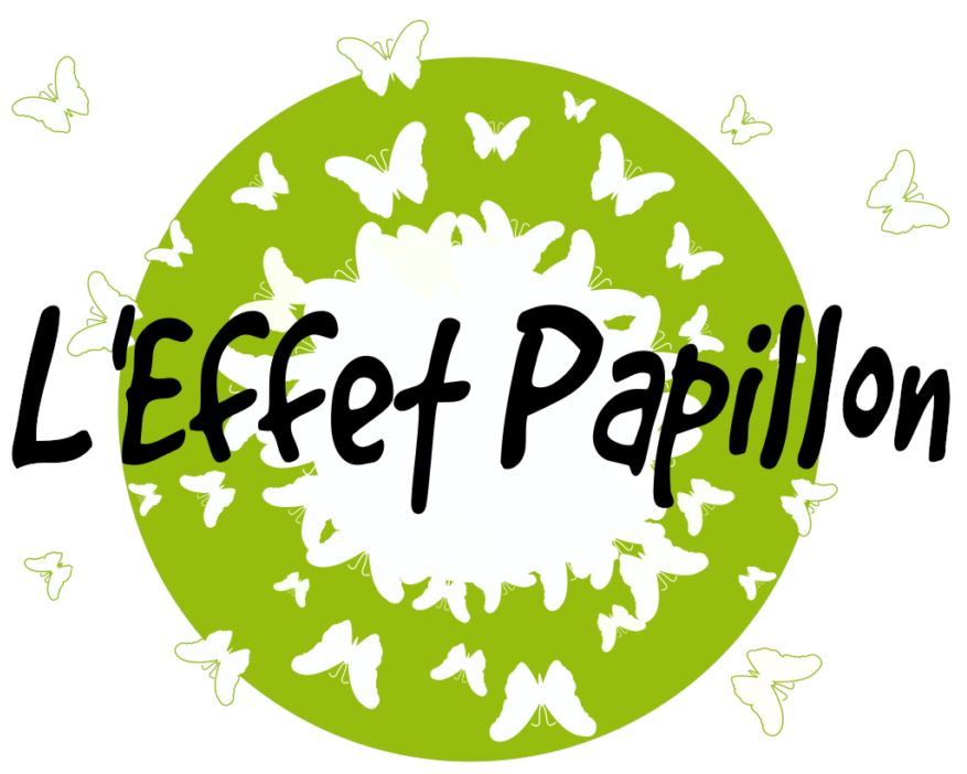 Association Dans l’Ensemble et son Tiers Lieu l’Effet Papillon